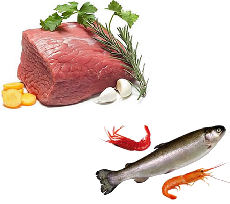 肉食品水產品烘干機、肉脯烘干設備、肉類烘干設備